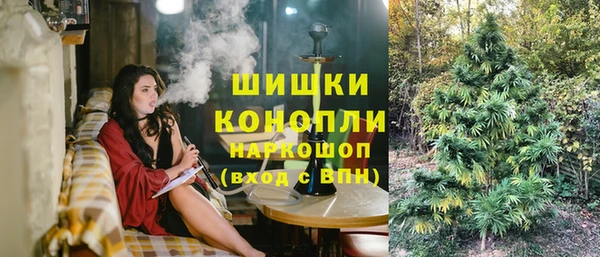 тгк Аркадак