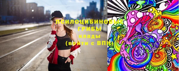 тгк Аркадак