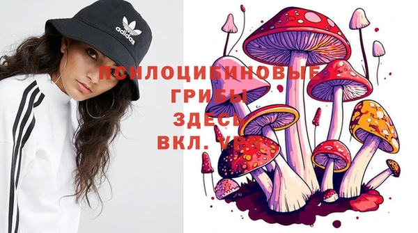 стафф Армянск