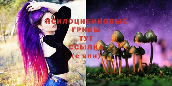 тгк Аркадак