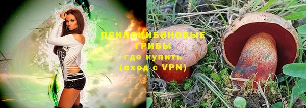 тгк Аркадак