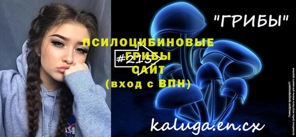 тгк Аркадак