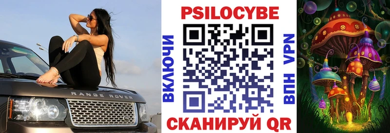 где можно купить   Лыткарино  Галлюциногенные грибы мицелий 